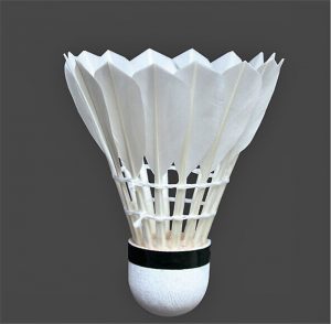 badminton-ball (2)